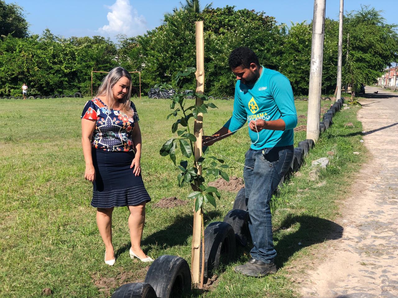 homem planta uma muda em um campo